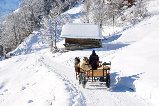 Pferschlittenfahrten im Winterurlaub in Flachau, Ski amadé